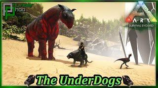 What does a Paracer and a Microraptor have in common? in Ark's The Underdogs 47