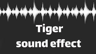 Tiger sound effect  (no copyright)