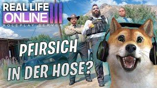 HERR KOLLEGE HAT KERNÖL HAARE?!- CSYON Stream Highlights