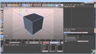 Maxon Cinema 4D R14 Tutorial | Basic Components Of 3D Objects