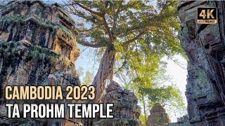 Ta Prohm Temple walking video tour | Tips for Angkor tour | Angkor Temples 2023 [4K]