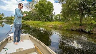 Skipping Buzz Frogs For Canal Beasts!