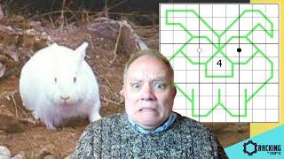 See Monty Python's Horrific Rabbit