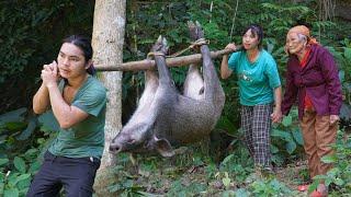 detecting wild boars, making traps to catch them and raise them, farm life, SURVIVAL ALONE