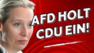 AfD überholt die CDU – Überraschungssieg!