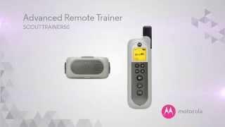 MOTOROLA REMOTE TRAINER50