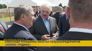 Александр Лукашенко посетил Белыничский район
