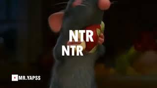 NTR Memes