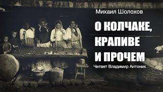 «О Колчаке, крапиве и прочем». Михаил Шолохов.  Аудиокнига. Читает Владимир Антоник