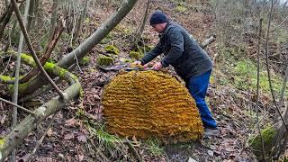 Life in a Carpathian Mountain Village: Every Day is Full of Things to Do