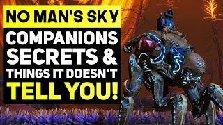 No Man's Sky Companions Update - Secrets and Things It Doesn't Tell You! (No Mans Sky Tips & Tricks)