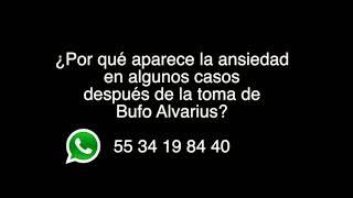 Así superé la ansiedad post Bufo? 5-meO-DMT & Mario Garnier.