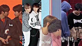 MINSUNG exposed relationship (tiktok collection) 