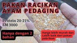 Racikan Pakan Campuran untuk Ayam Kampung Pedaging