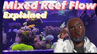 CRAZY Mixed Reef Water Flow - Tank Update | Ep.32