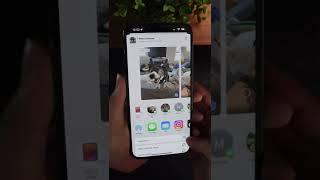 Easily convert Live Photo to video on iPhone!! #iphonetips #iphonetricks #iphonehacks #shortsfeed