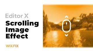 Scrolling Image in Editor X | Wix Fix