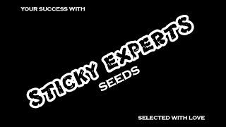 Samen | Sticky Experts Seeds | Instrumental  | Unsere Selektion | Dein Erfolg | Aktion zum Release