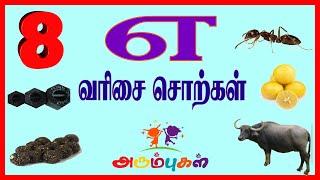 எ வரிசை சொற்கள் | Ae Varisai Sorkkal | Tamil Learning Video Kids, Preschoolers, Children | Arumbugal
