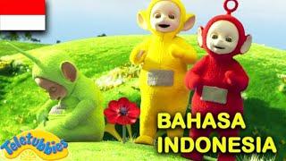 Teletubbies Bahasa Indonesia Lari-Lari - Memperbaiki - Diam | Kompilasi Kartun Lucu BARU 2020