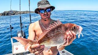 NZ Snapper Fishing with Soft Baits & Micro Jigs