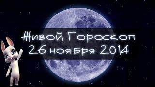 Зайка Zoobe - гороскоп для КОЗЕРОГОВ . + Свежий прикол!