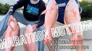 Marathon Mutton Snapper Fishing | Marathon mutton fishing | Florida Mutton Fishing 2024 | Fsftv