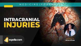 Intracranial Injuries | Forensic Medicine Lecture | MD V-Learning Platform | sqadia.com