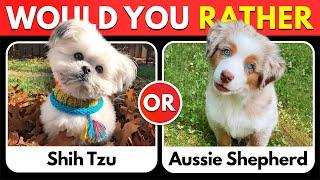  Would You Rather? Dogs Edition 