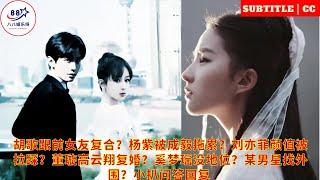 Hu Ge is ex-girlfriend Yang Zi Cheng Yi Liu Yifei's Dong Xuan Gao Yunxiang Mengyao had no Xiaoba Q&A