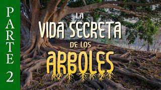 La Vida Secreta de los Árboles | ENSEÑANZAS ESPIRITUALES