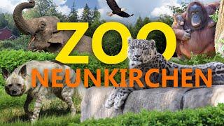 Neunkircher Zoo | Zoo-Eindruck