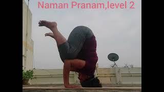 Naman Pranam