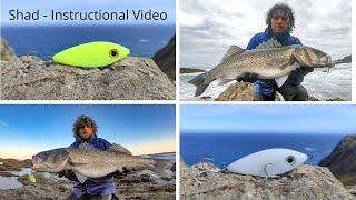 Samson Shad - Instructional Lure Video. Get Some Tips On Using This Awesome Lure