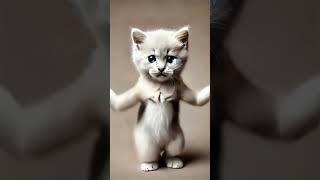 cute cat dance #catdance  #cat #petdance #cute #dance #funny #viral #foryoupage