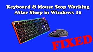 How to Fix Keyboard & Mouse Stop Working After Sleep on Windows 10