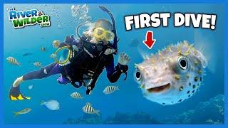 KIDS scuba dive with PUFFERFISH, LOBSTERS and EELS!