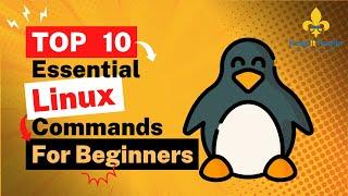 Unlock the Power of Linux: Top 8 Essential Commands for Beginners!