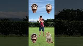 बदर मम आए पट पजम ल दख कतत आय फर बलल आई monkey cat dog funny story VFX magic video