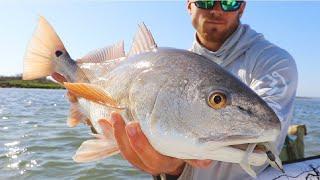 Best Lures For Summer Redfish (And How, When & Where To Use Them)