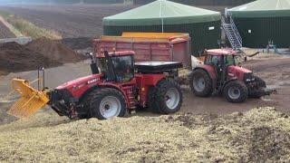 Maïs 2012 | Grote Case IH Steiger 400 kniktractor op de kuil met maïsriek | Big silage pit