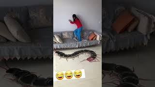 Scary snake Drawing | Prank  video | Worldbites