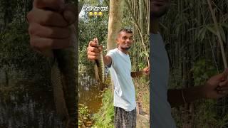 বৰশী বাই মাছ আনিলো  assamese mini vlog #ytshorts #minivlog #viral