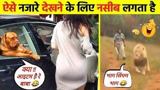 जानवरों के ऐसे कारनामें लोटपोट कर देगी  । funny animals videos 2023