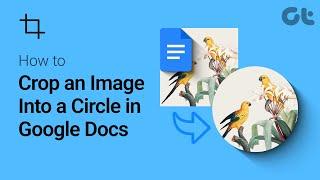Google Docs Tutorial: How to Crop an Image Into a Circle