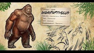 ARK: Survival Evolved. Как приручить гигантопитека (Gigantopithecus).
