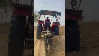 खेती #farmar #rajasthan #thar #desertlife #desertlife #youtubeshorts #villagelife #fasal