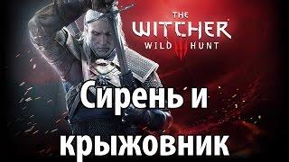 The Witcher 3: Wild Hunt - Сирень и крыжовник