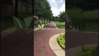 UAB Campus Dining: Commons on the Green Virtual Tour