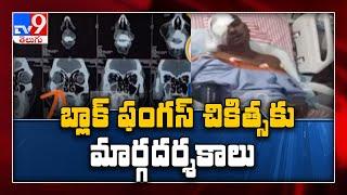 TS Govt Alerts over black fungus || One Minute Full News - TV9